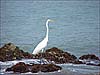 Fotos del Medio Ambiente - Cartagena de Indias