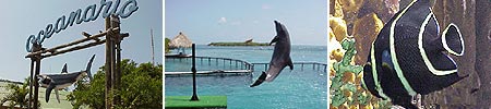 Acuario San Martín - Cartagena de Indias