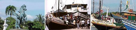 Bahía de las Animas - Muelle de los Pegasos